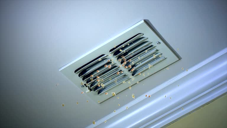 Best Affordable Air Duct Cleaning  in St Jaco, IL