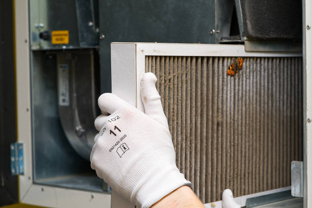 Ductwork Cleaning Services in St Jaco, IL