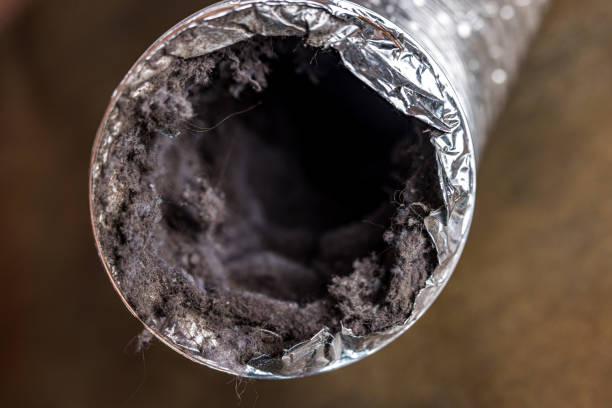 Best Home Air Vent Cleaning  in St Jaco, IL